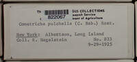 Image Associated With the Occurence